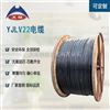 WDZ-YJY 電線電纜 無鹵低煙阻燃電纜的特性與應(yīng)用